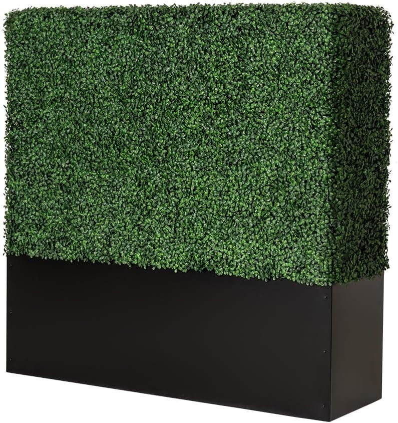 Noir Short Boxwood Hedge Wall